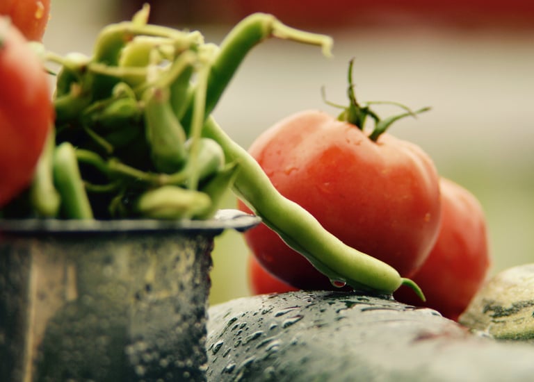 Fresh Vegetables
