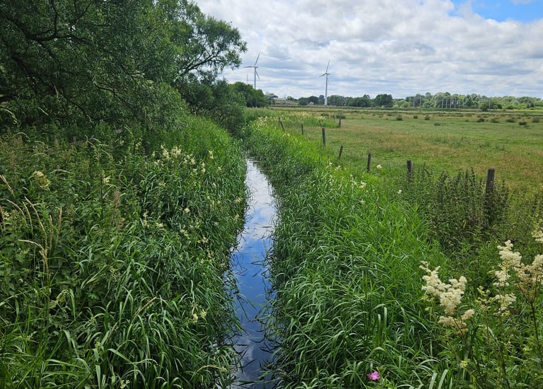 Pollution Assessment 