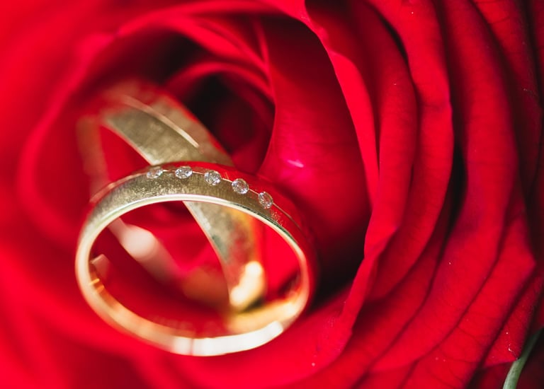 Hochzeitsringe als Detail Fotoshooting von Hochzeitsfotograf fotografiert wurden in Dillingen 