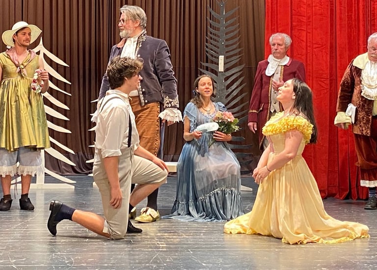 komedija TA VESELI DAN ALI MATIČEK SE ŽENI