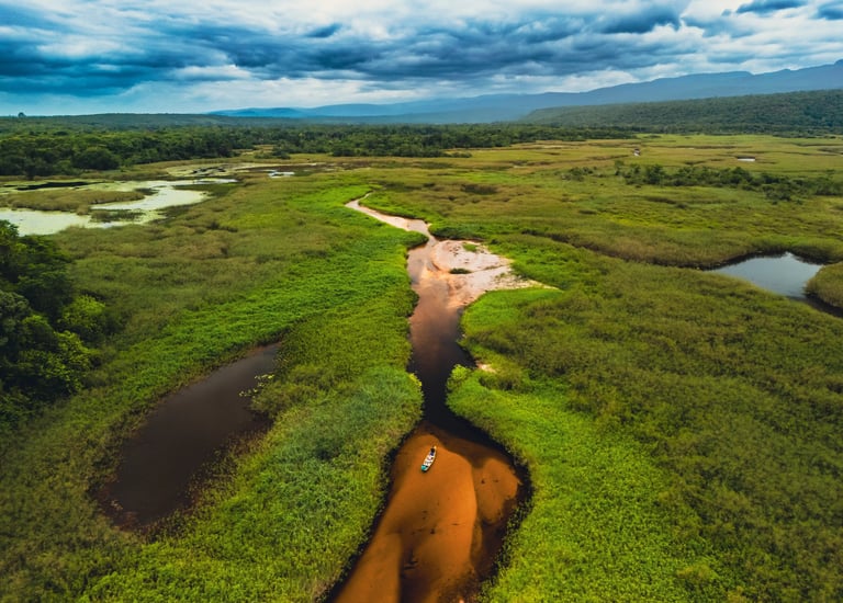 mini pantanal drone