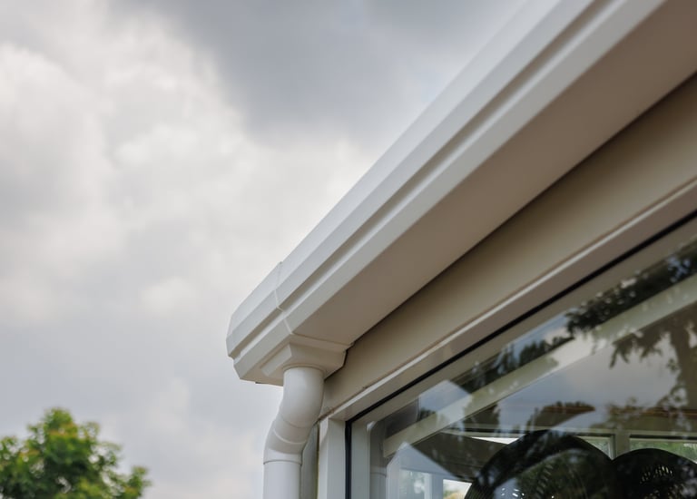 gutter cleaning