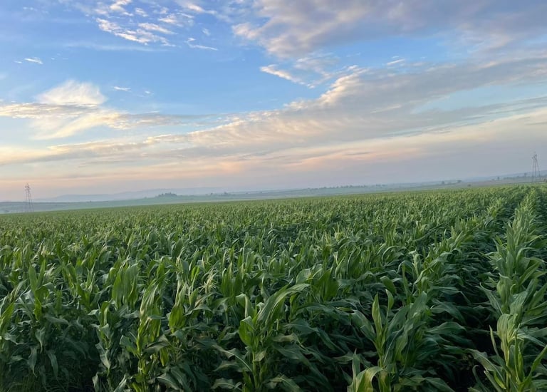 Crédito Agroindustria