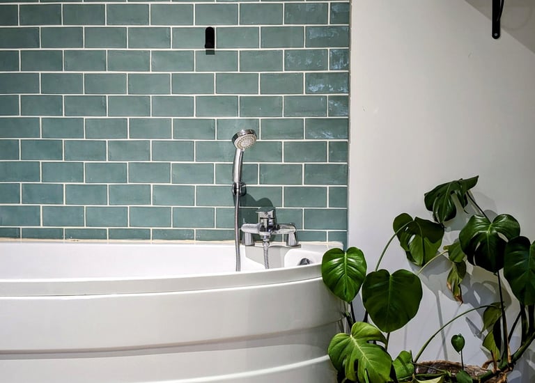Une baignoire et une plante verte