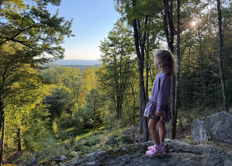 a young girl standing on a rock in the woods of New Hampshire looking at the landscape beyond