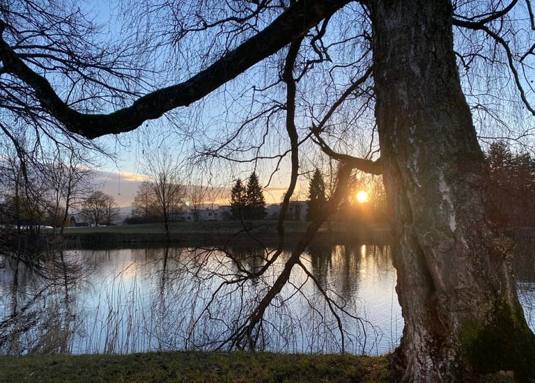 Seeufer im Abendlicht der untergehenden Sonne. Echtes Bild
