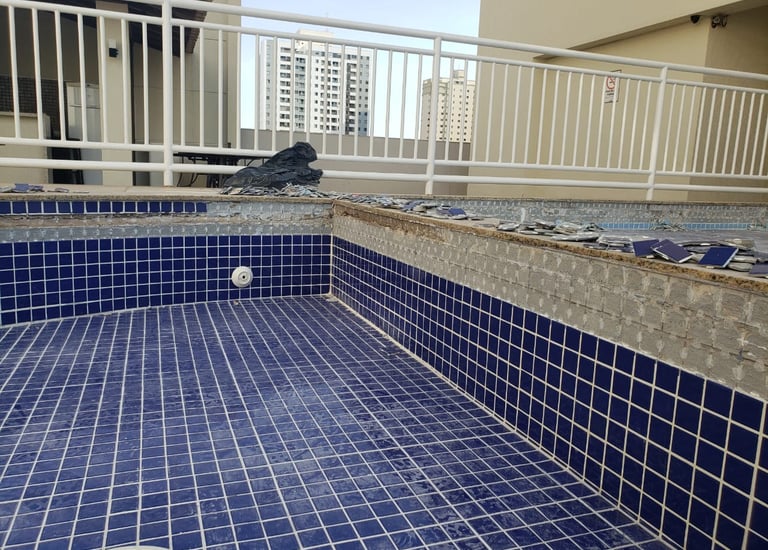 a pigeon on a tiled pool with a bird on the ground
