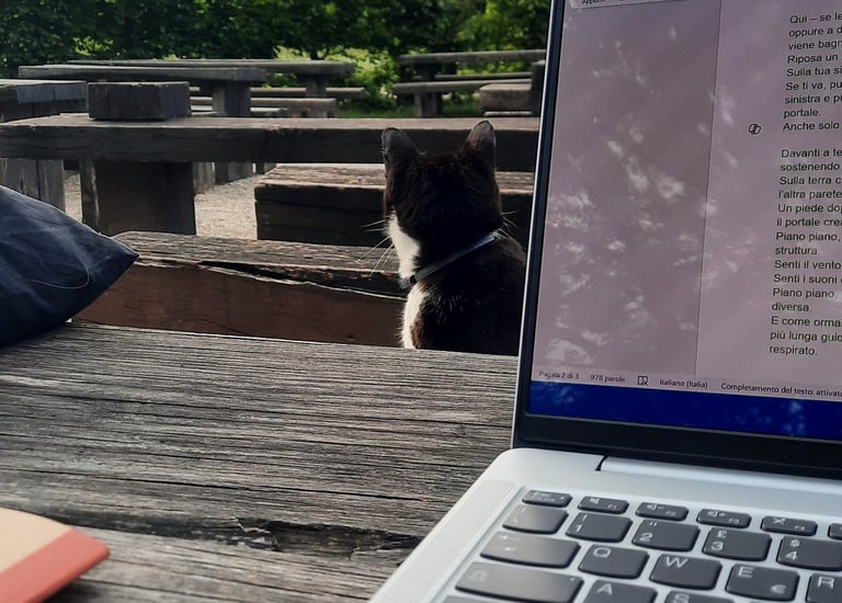 Laptop e gatto su tavolo all’aperto, con alberi e cielo fresco sullo sfondo