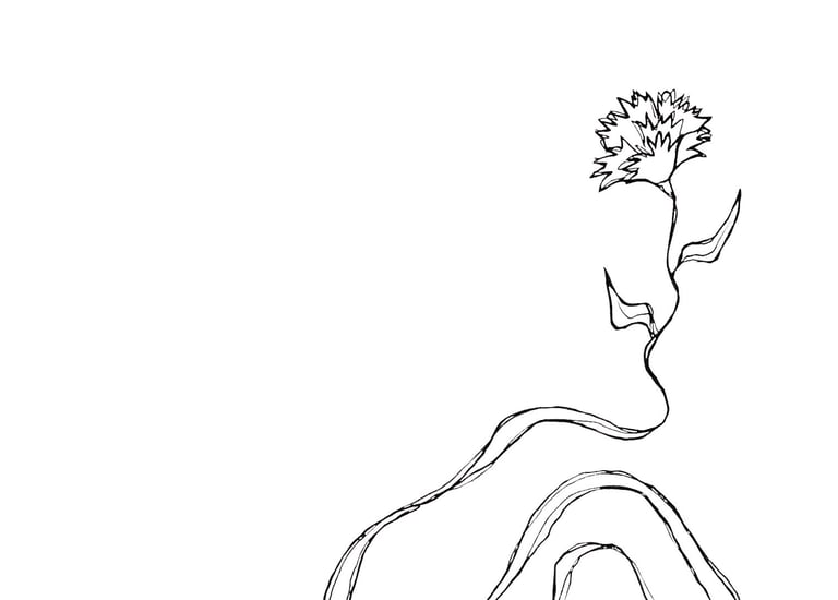 Dibujos en directo durante la presentación del libro Leer en caso de, Dibujos a tinta en A5. Digitalizados