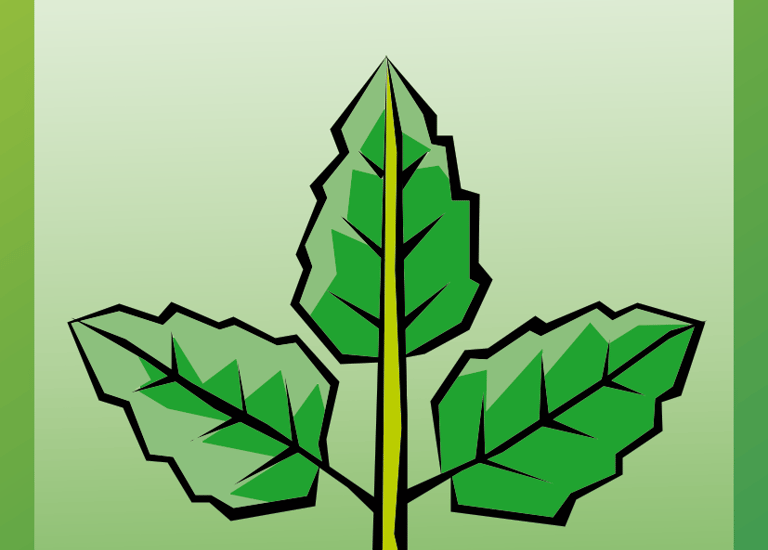 Carta para el juego PLANTA. Digital.