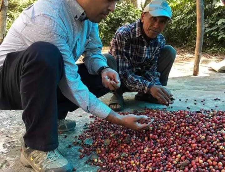 two men standing in front of a pile of coffee beans