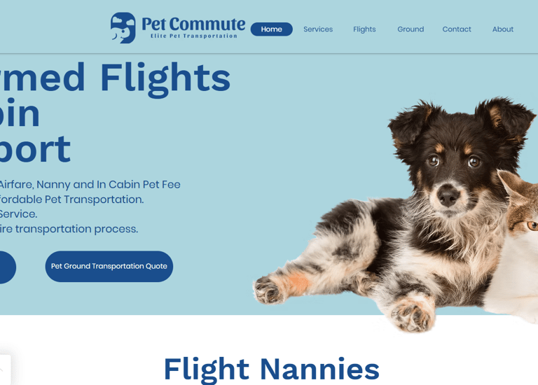 pet commute pet transport services