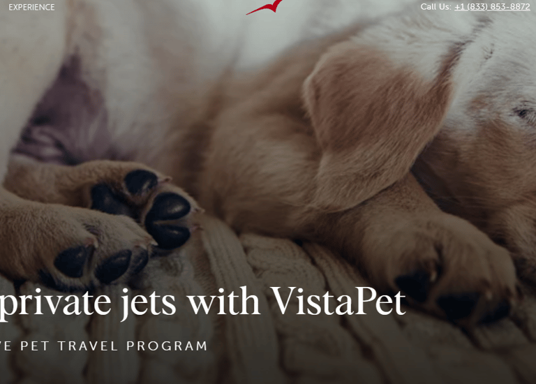 vista jet fly with pet private jet service