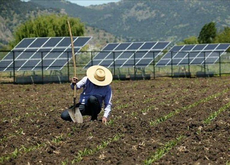 paneles solares para agricultura ganaderia ranchos y cabañas