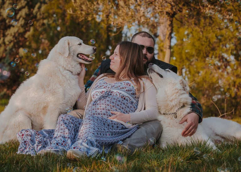 donna incinta con uomo e due cani