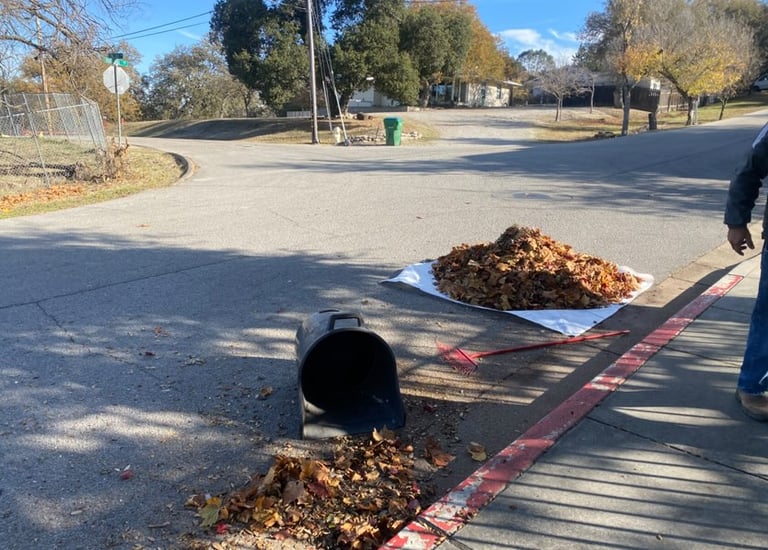 Leaf cleanup
