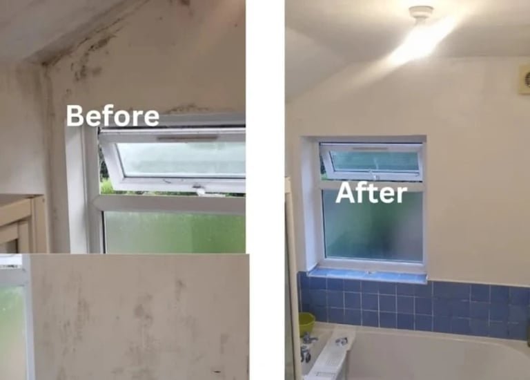 bathroom mould remediation