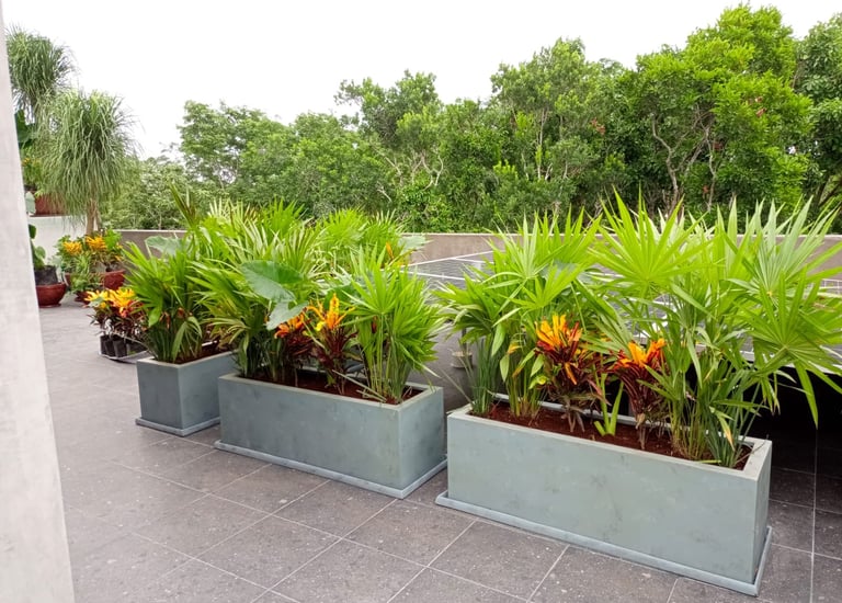 macetas en fibra de vidrio utilizándose en un hotel real