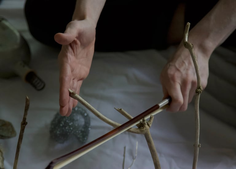 sound artist playing a wooden branch with a bow
