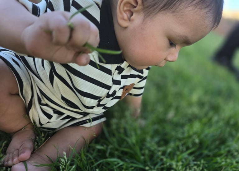 Niño explorando la naturaleza 