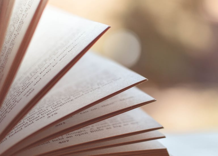 anlaşılabilir girdi