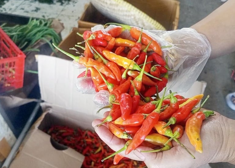 chillifarm.online tipe Jablay