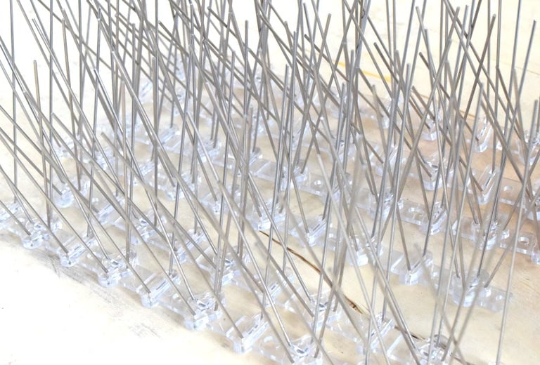 Close-up of sharp bird spikes installed along a rooftop edge.