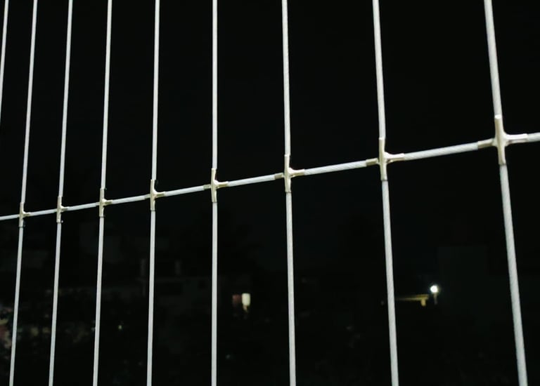 Evening view of a Lower Parel building with multiple balconies protected by pigeon nets.