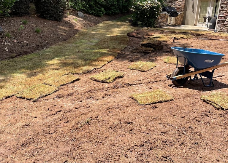 Zoysia sod install on graded backyard