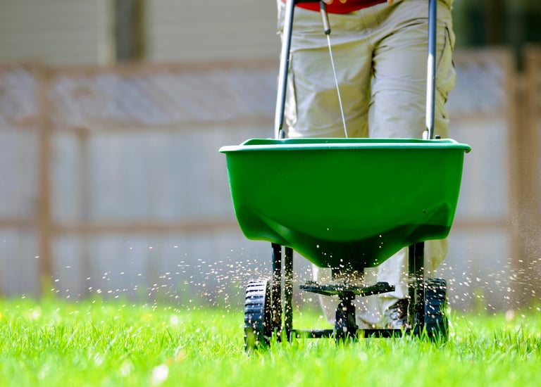 lawn fertilization services near me 