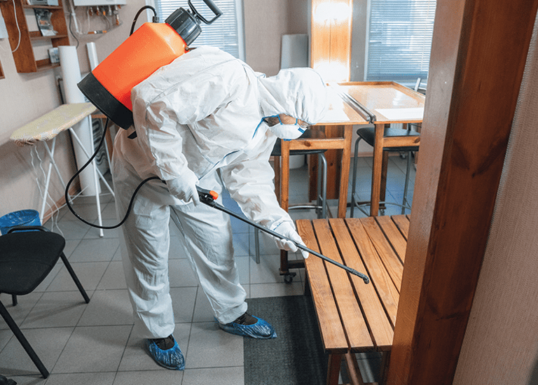 professional termite pest control service