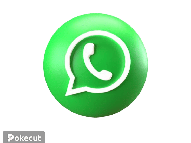 WhatsApp booking icon for Pac Tour Excursions Bayahibe excursions