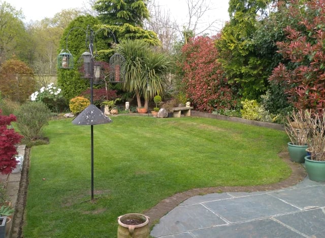 Lush green lawn in a landscaped backyard garden with a multi-feeder bird station and stone bench.