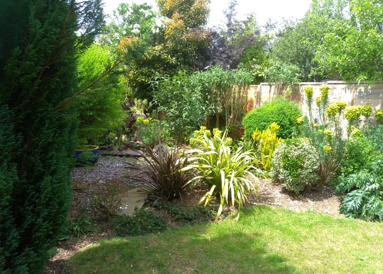 Lush residential backyard garden featuring green lawn, phormium plants, and diverse shrubs along a wooden fence.