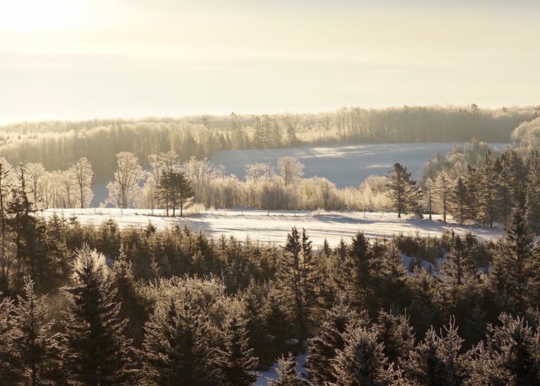 Beautiful winter PEI scenery