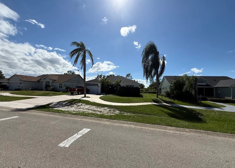 Expert landscaping and yard clean-up services in Sebring, Florida by Threefold