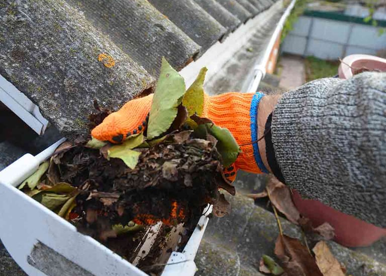 Guild Guttering