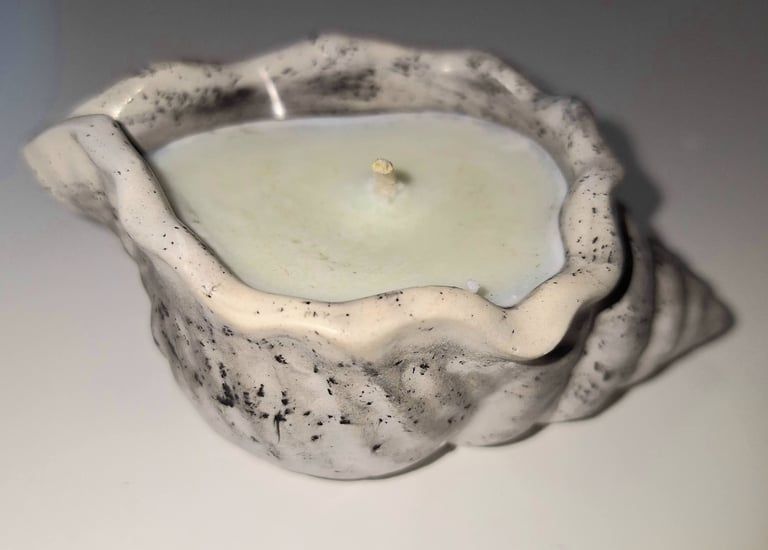 Sojų vaško žvakės. Panevėžyje. Miela smulkmena