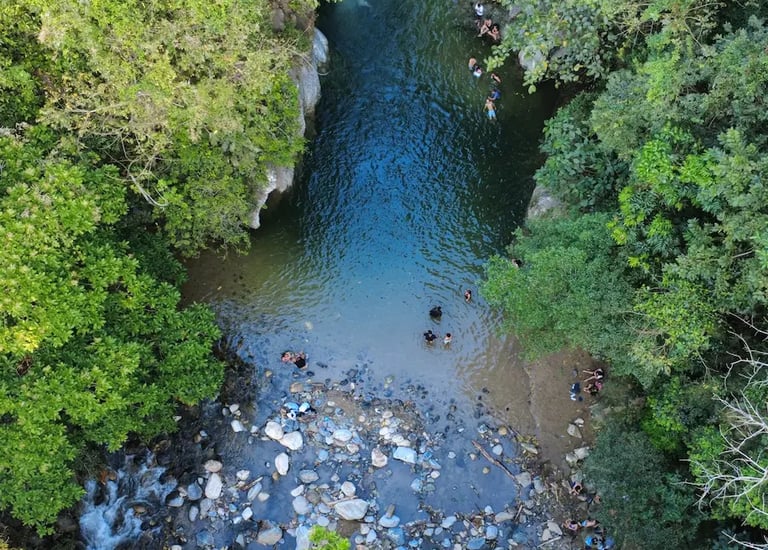 Aerial view of people swimming in a clear tropical river surrounded by lush green forest trees.
