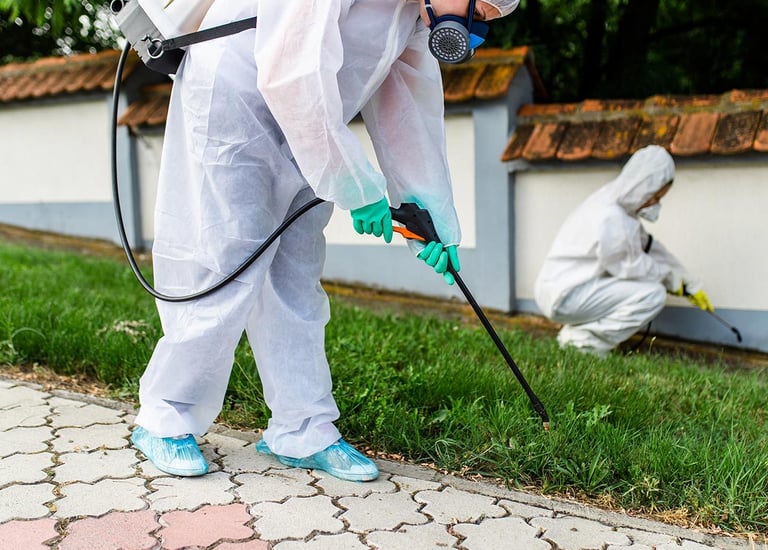 مكافحة القوارض