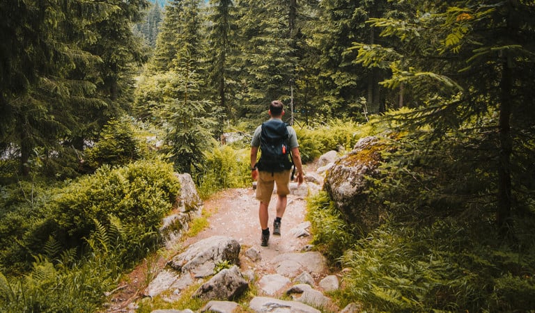 randonnée clunysois