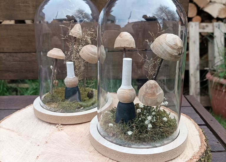 Champignons et bigoudène sous cloche