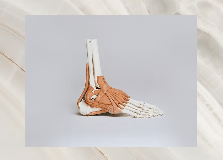 Foot Care Vision