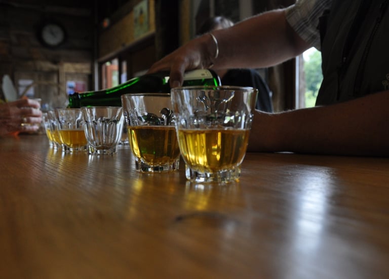 Dégustation de cidre de l'ecomusée de la pomme et du cidre