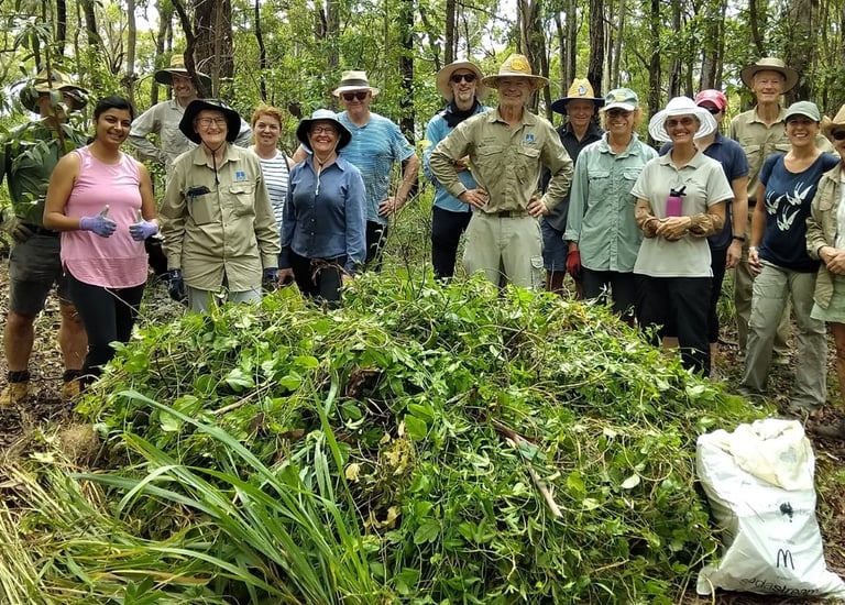Bushcare, landcare group with weeds at working bee