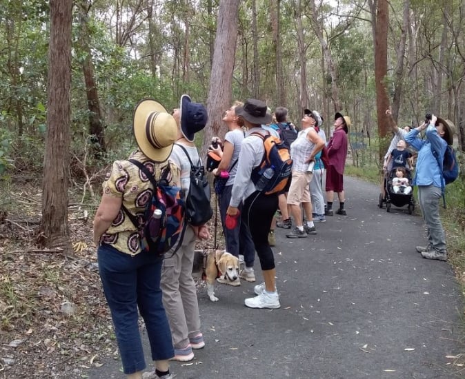 walking group on walking track at whites hill reserve