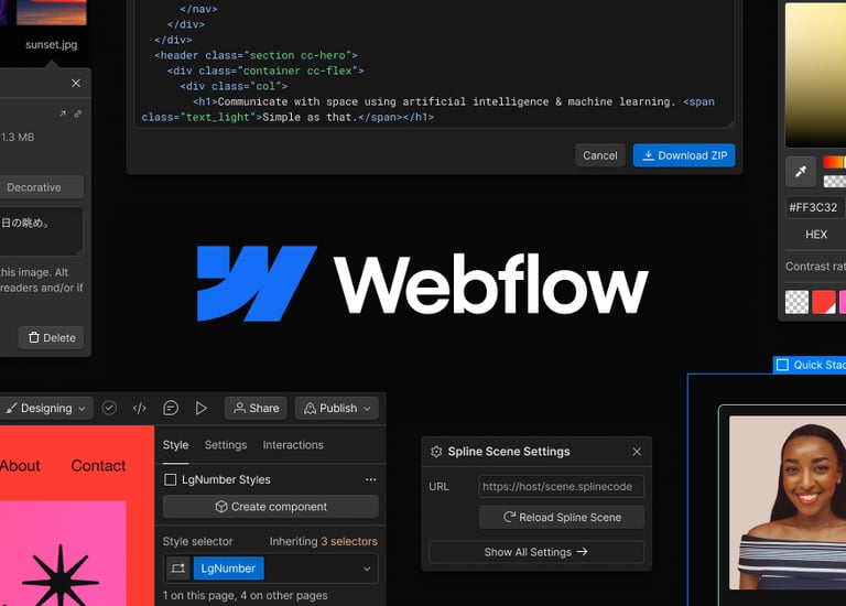 Webflow interface
