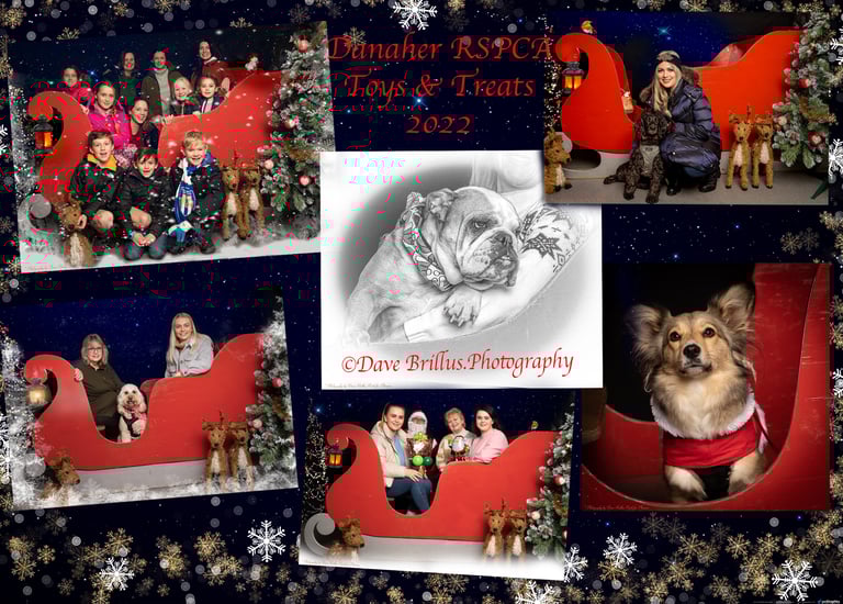 Toys & Treats Danaher RSPCA