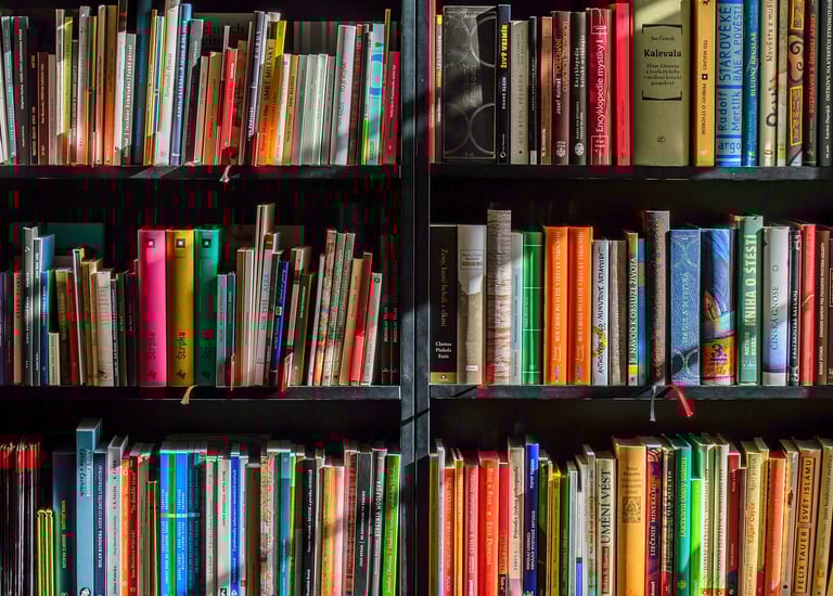 Libros de Lectura Fácil de Valencia
