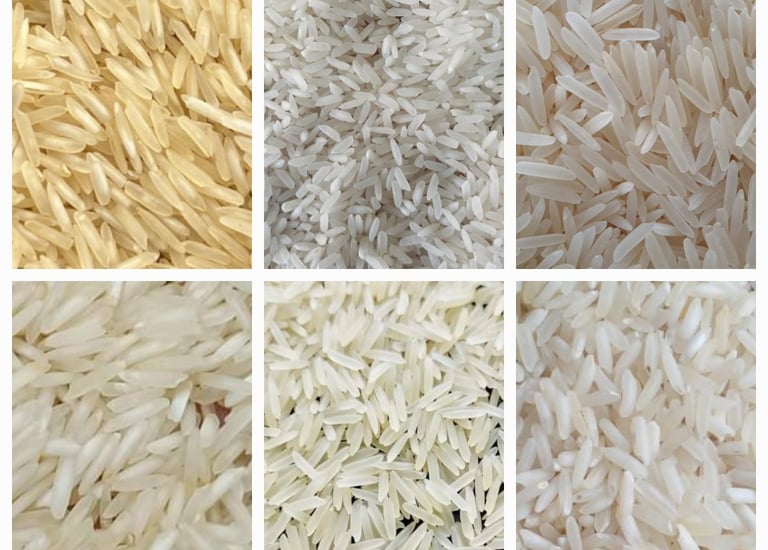 Biggest Broken Rice Exporters in Pakistan